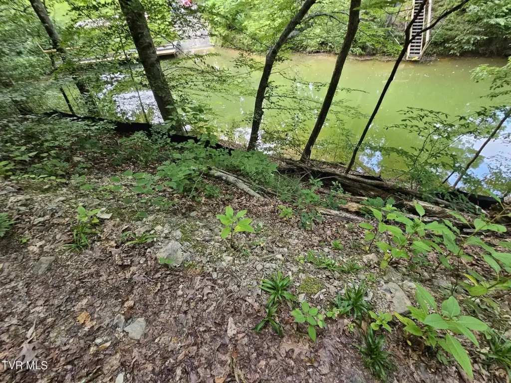 Picture 18