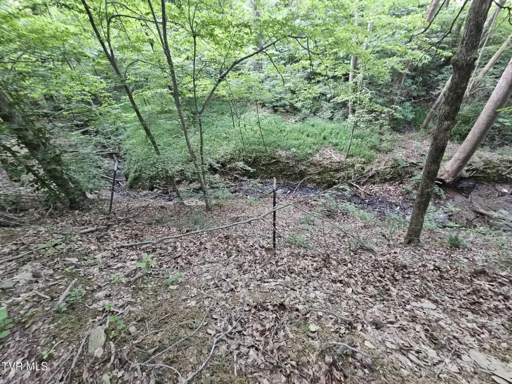 Picture 28