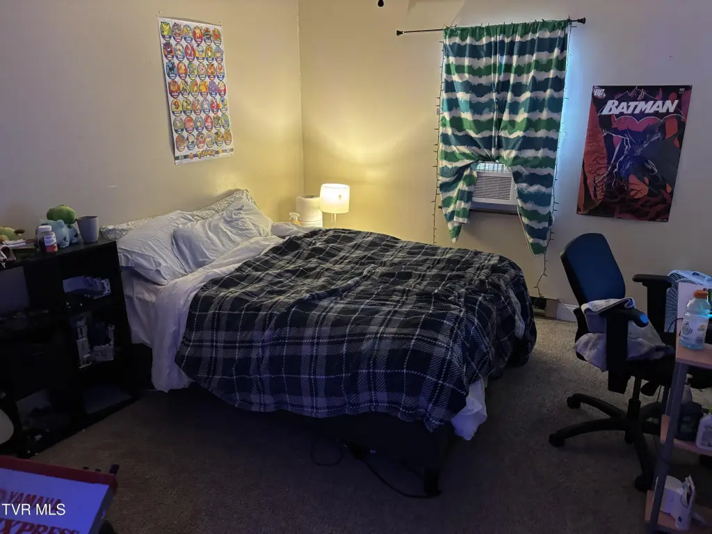 Picture 22