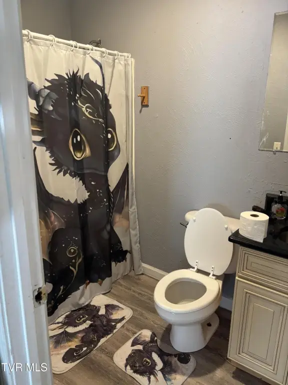 Picture 14