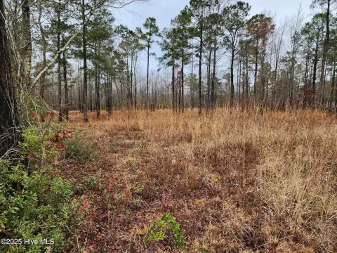 46 Acres Commercial Land Vanceboro