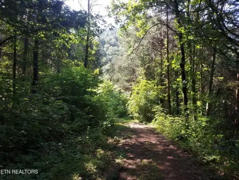 Picture of Farms at Pawpaw Rd 779, Thorn Hill, TN
