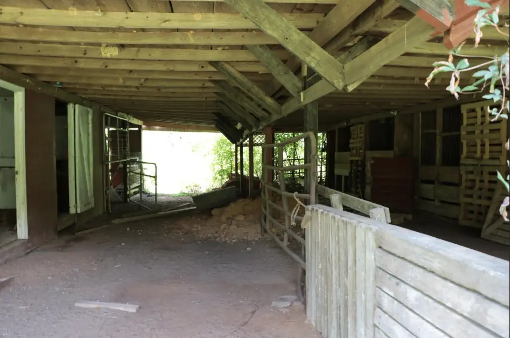Picture 12