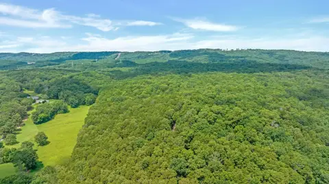 51 Acres of Untouched Land