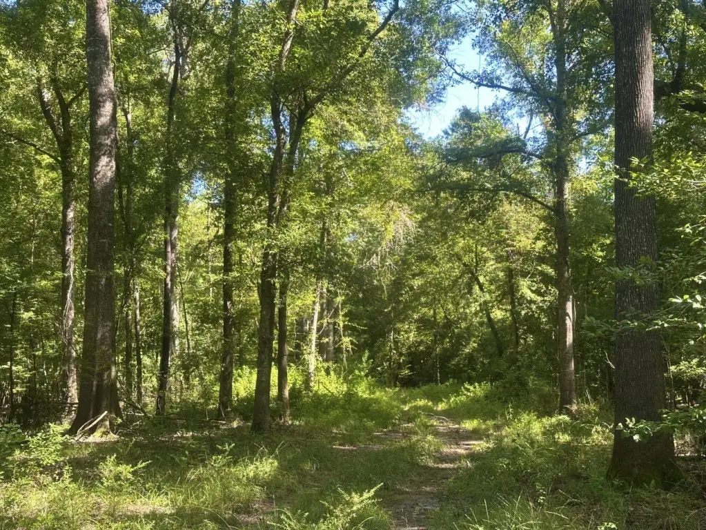 Picture 22