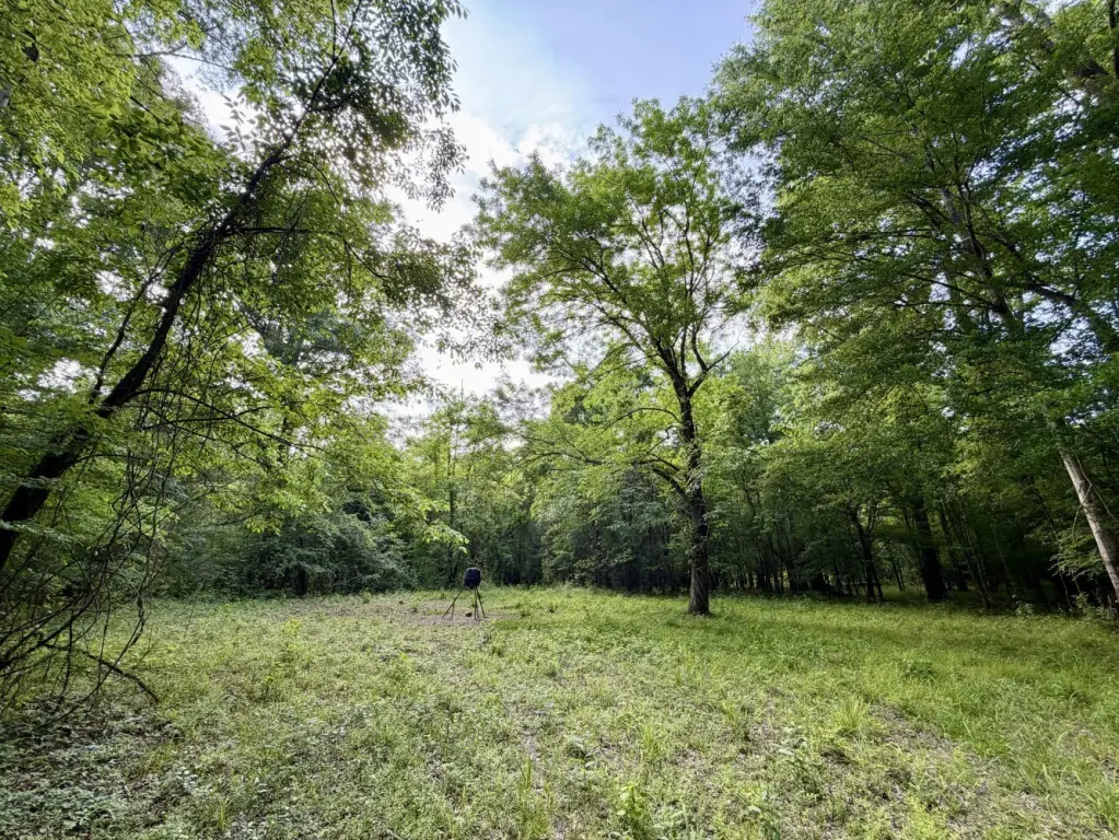 Picture 36
