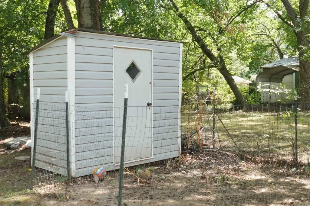 Picture 6