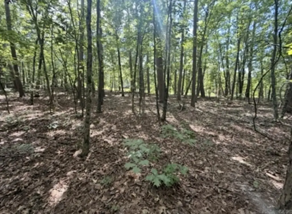 Picture 4