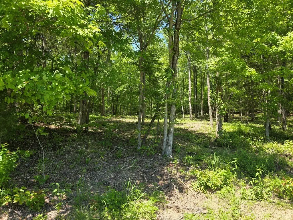 Picture 15