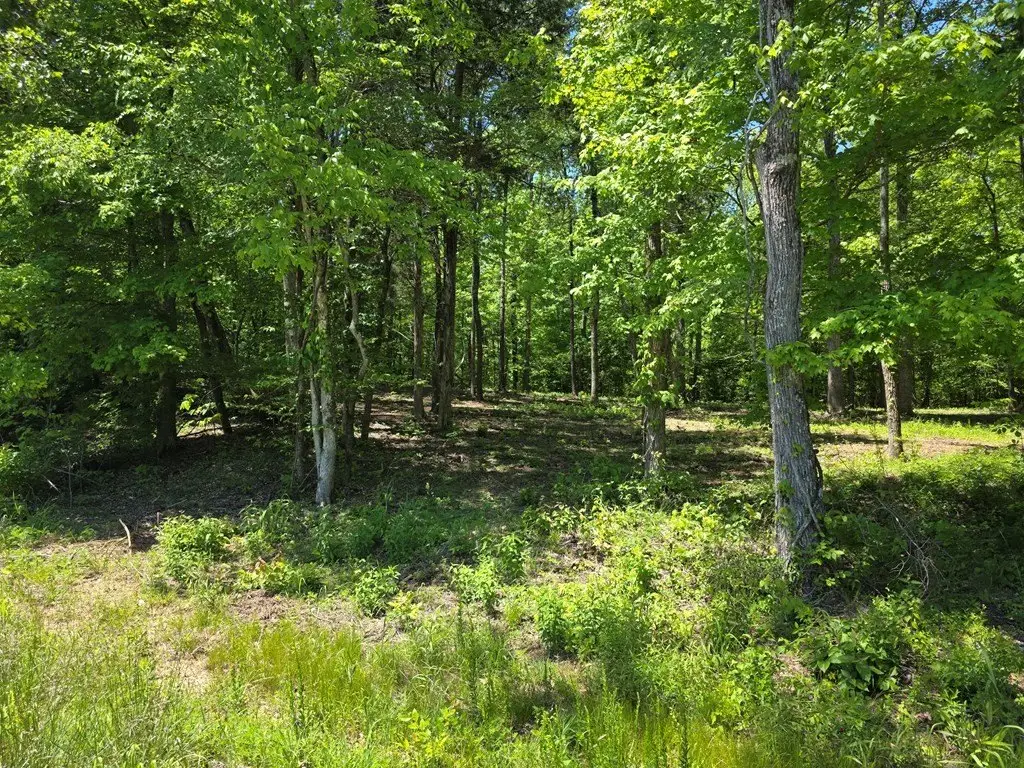 Picture 18