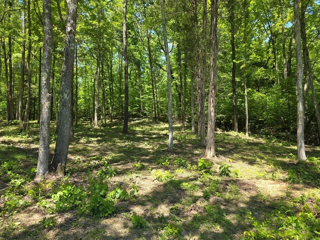 Picture 17