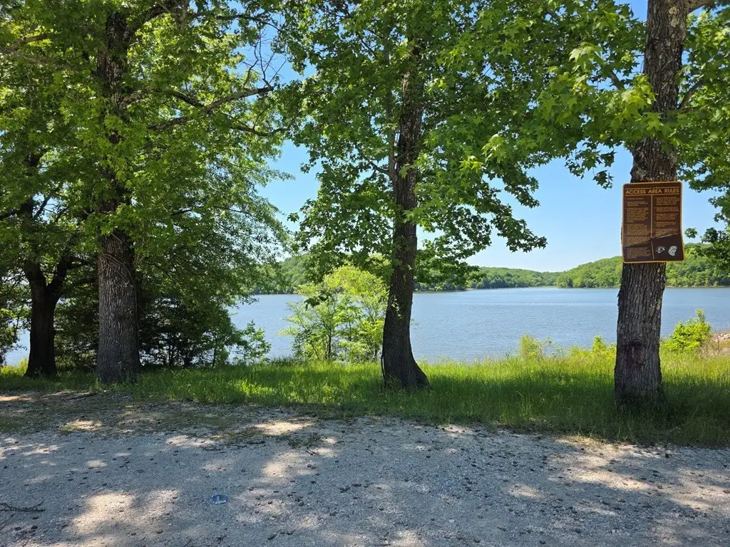 Picture 24