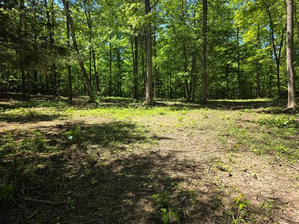 Picture 3