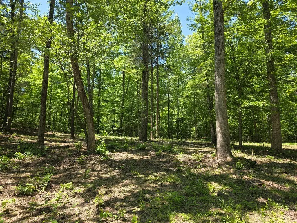 Picture 19