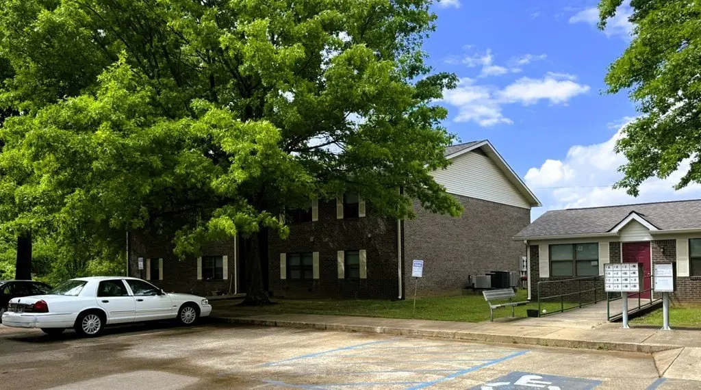 Picture 5