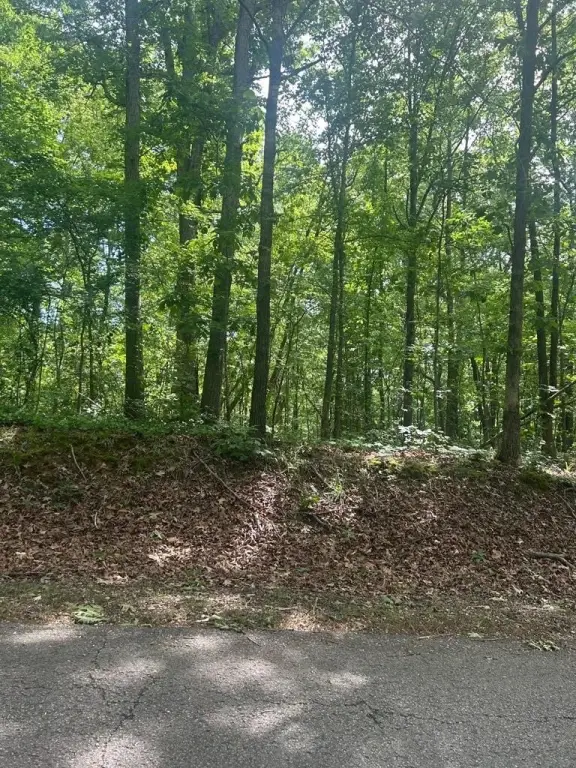 Picture 3