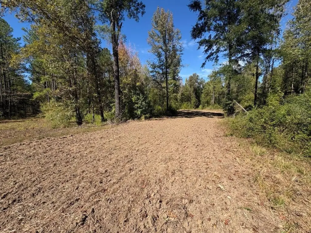 Picture 17