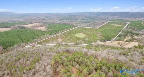 75 Acres of Land, Collinsville