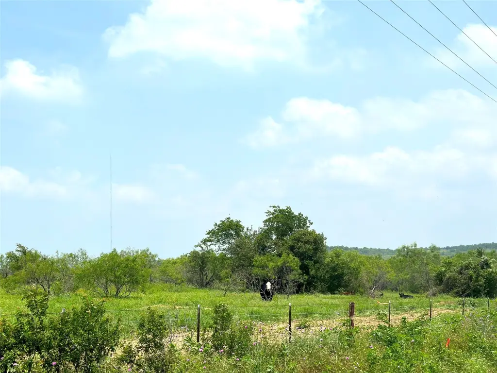 Picture 23