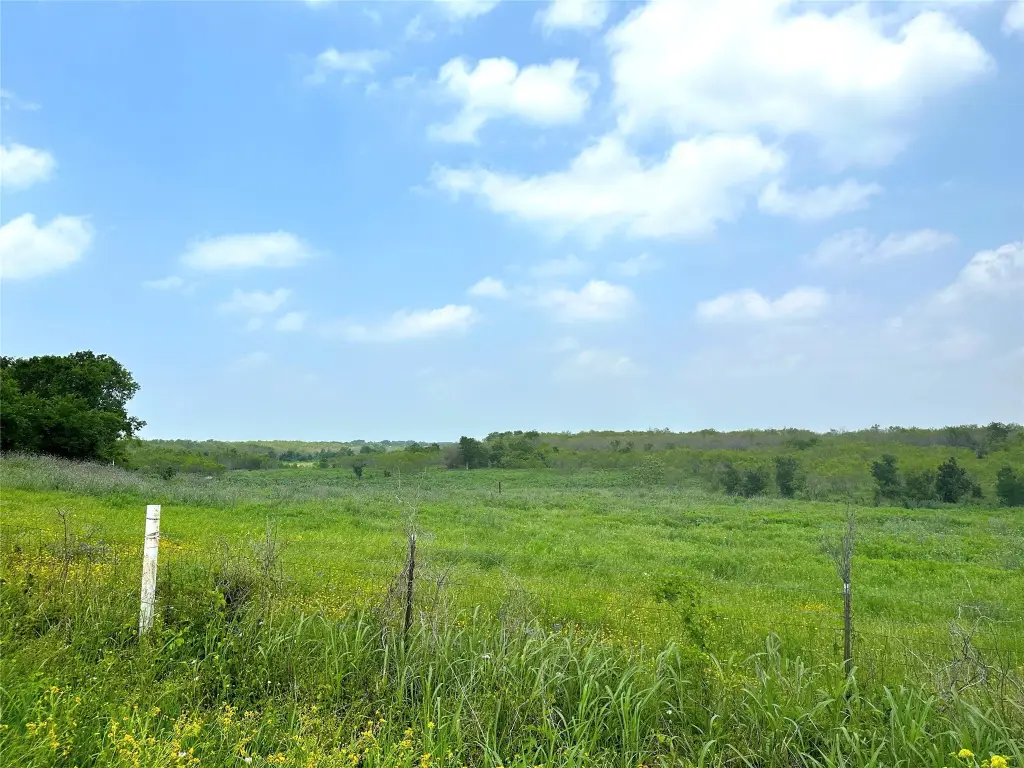 Picture 30