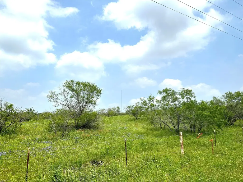 Picture 31
