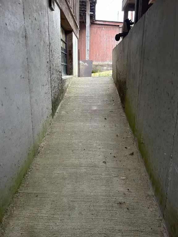 Picture 44