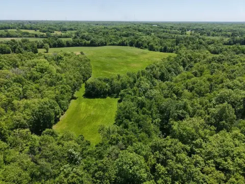 Agricultural Land with Timber