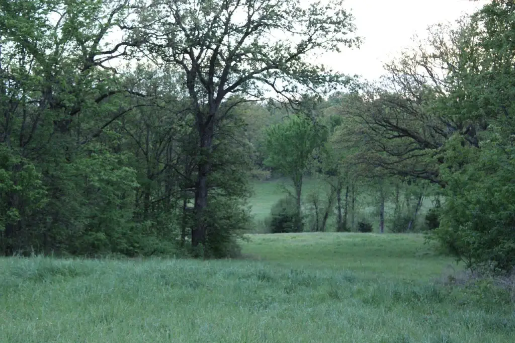 Picture 4