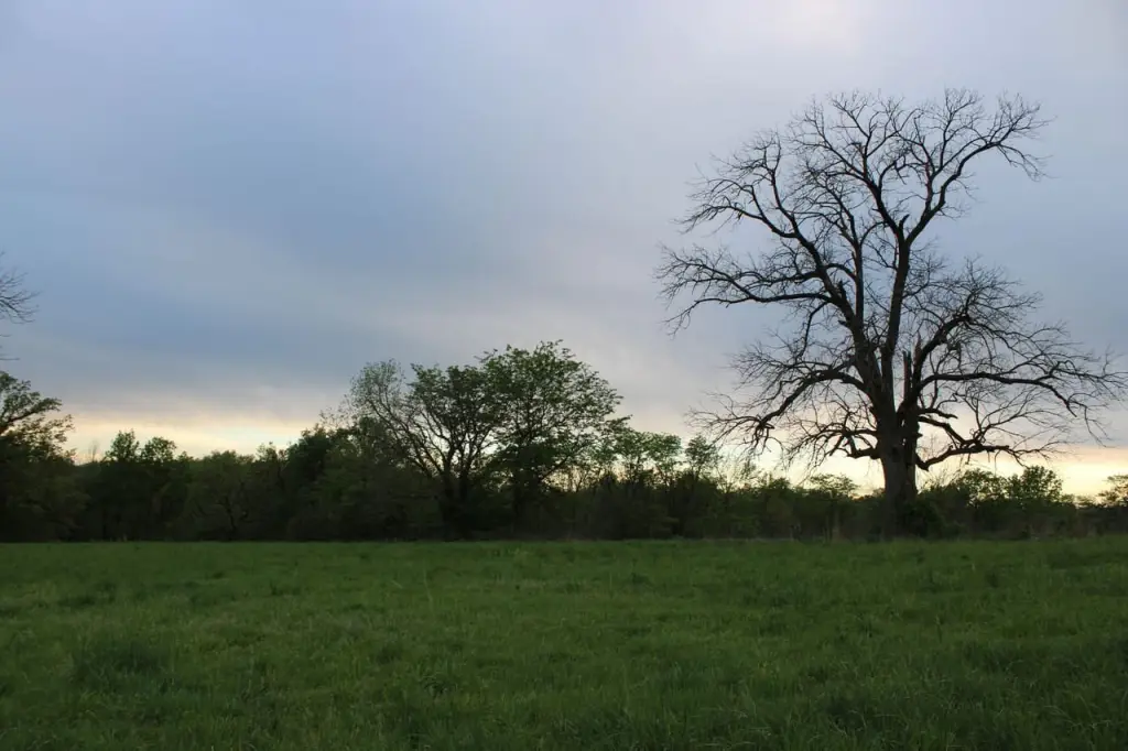 Picture 43