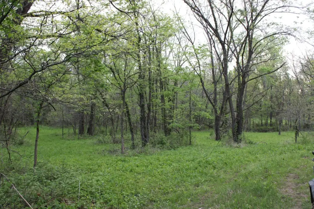 Picture 39