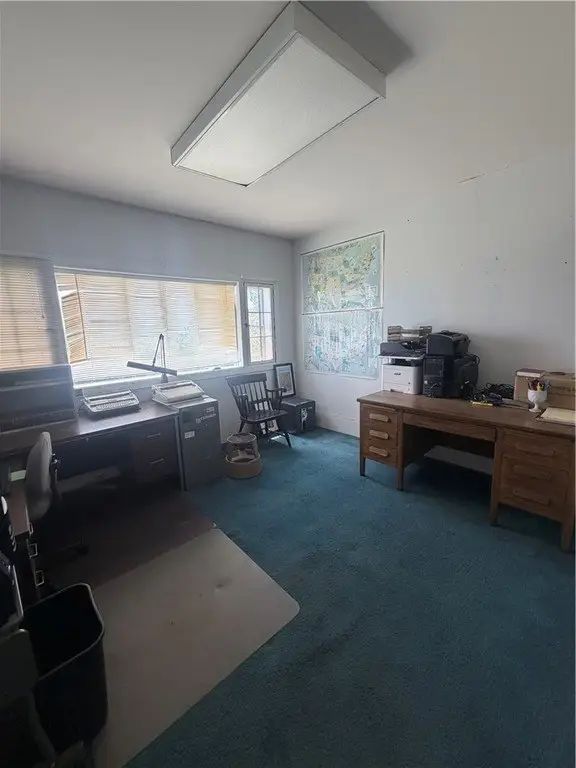 Picture 19