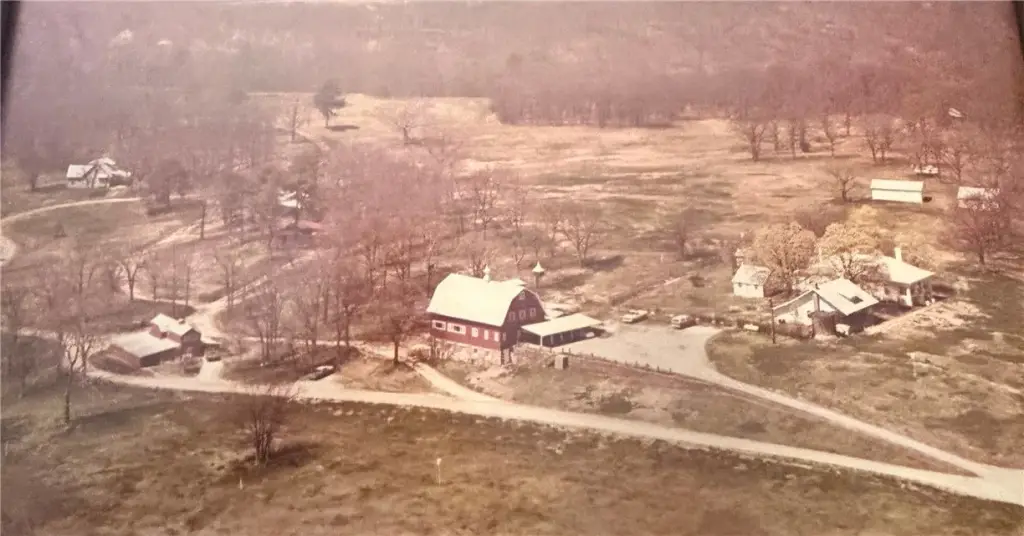 Picture 5