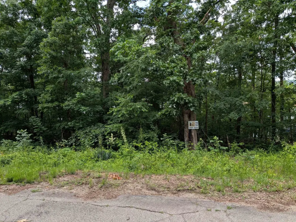 Picture 3