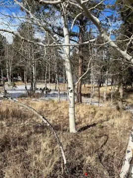 Woodland Park Land For Sale