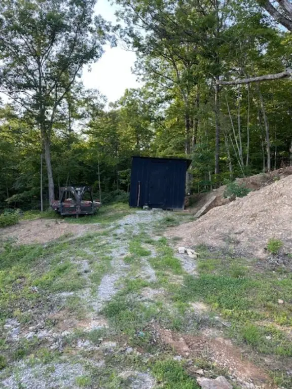 Picture 21
