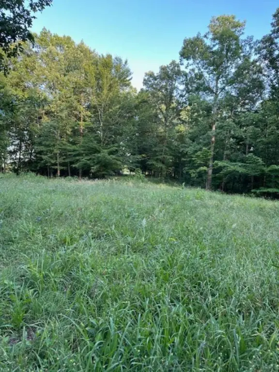 Picture 39