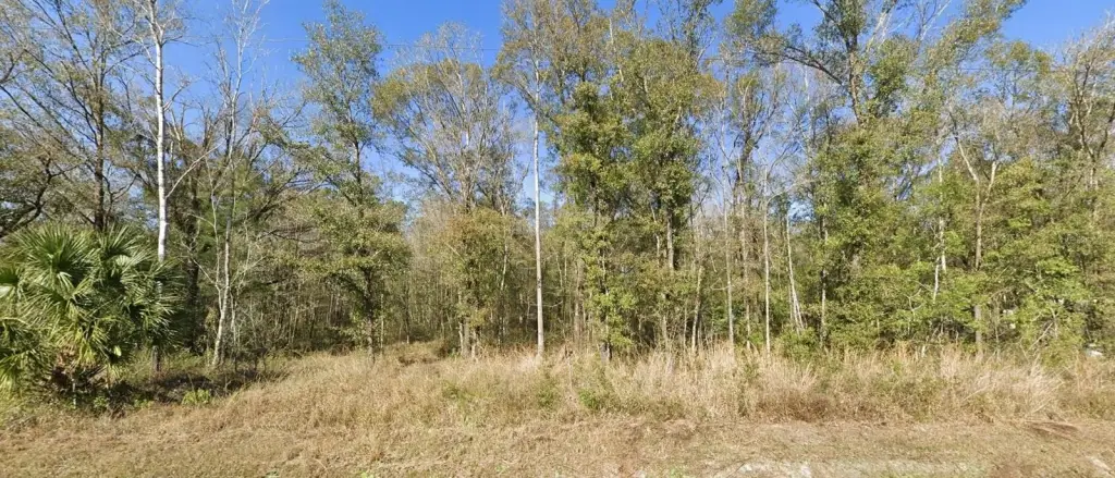 Picture 2