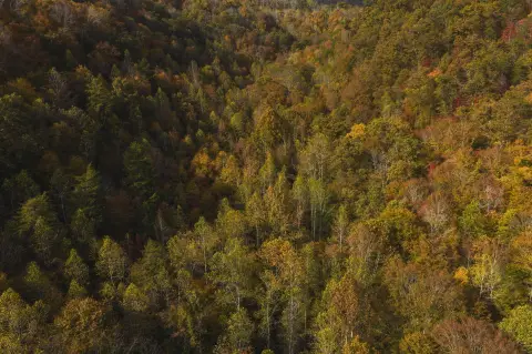 Kyles Ford Unimproved Land