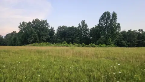 Saint Joe Vacant Land Parcel