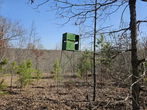 Ozark Land Near Buffalo River