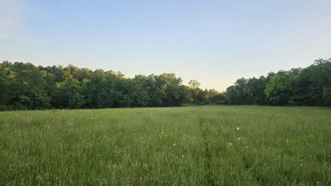 40 Acres Near Buffalo River