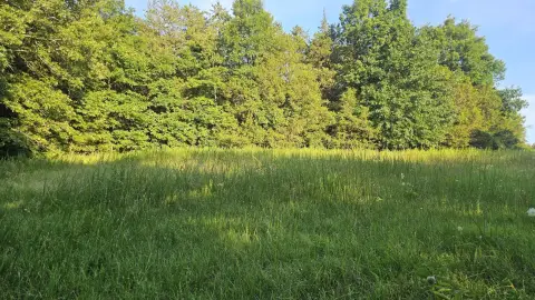 Ozark Mountain Land with Views