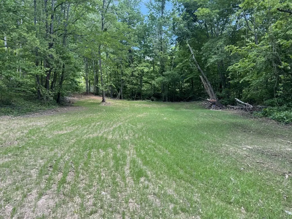 Picture 11