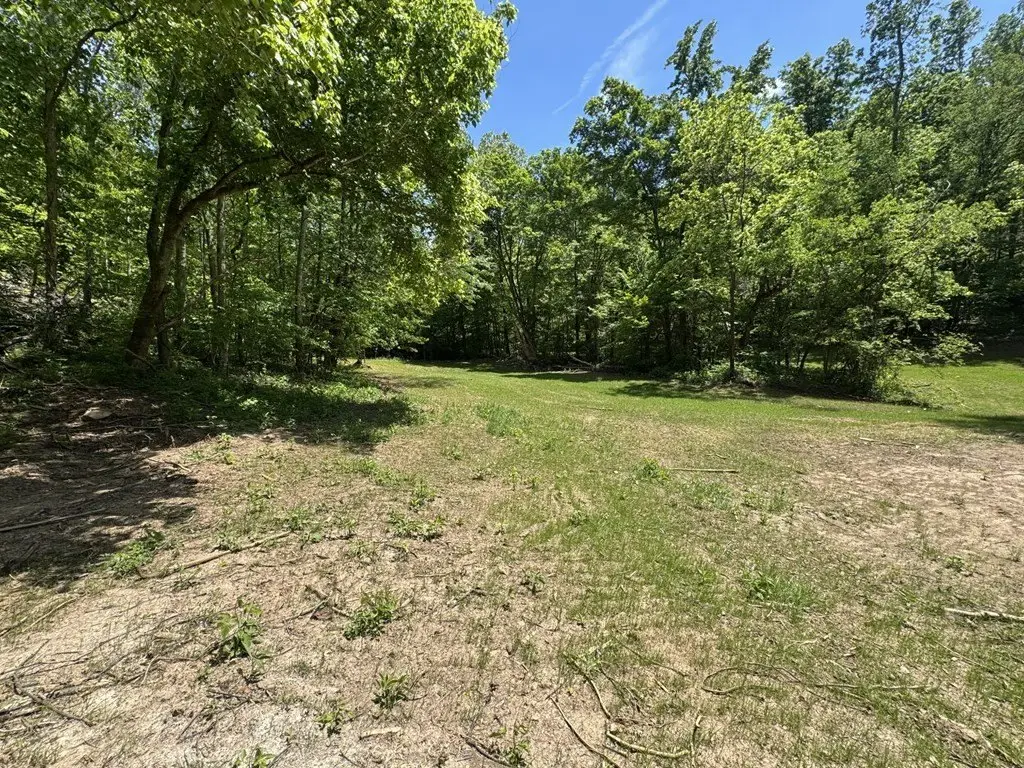 Picture 13