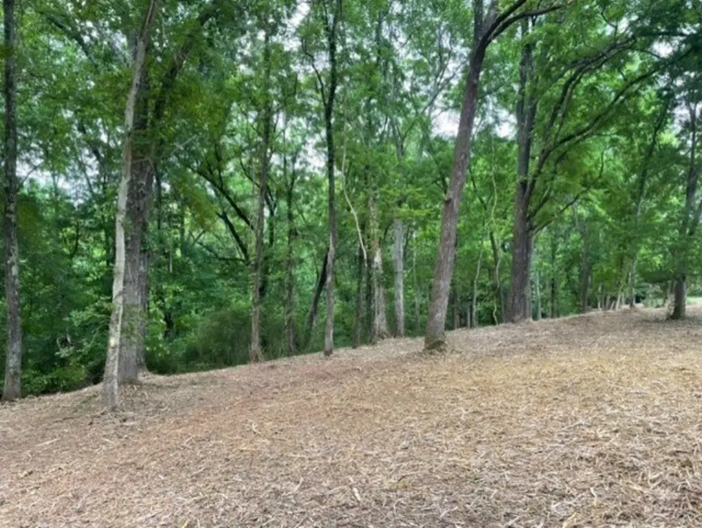 Picture 13