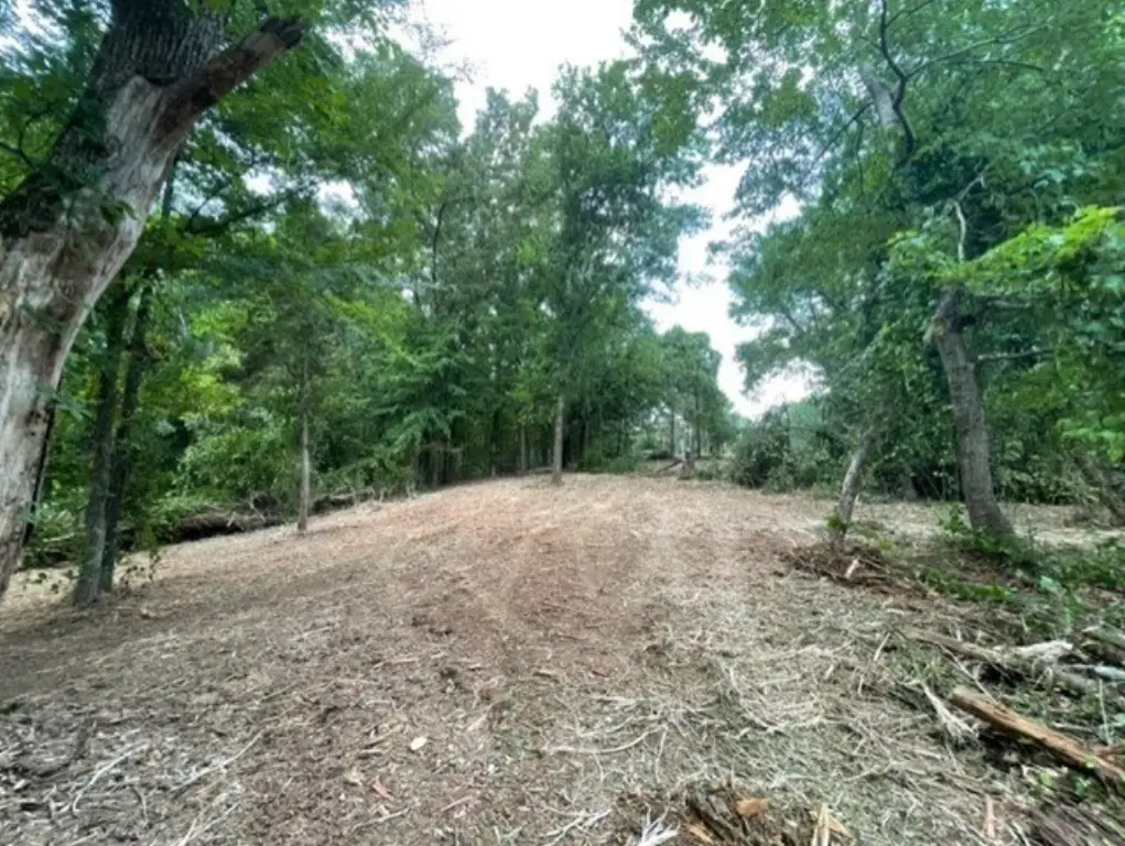 Picture 8