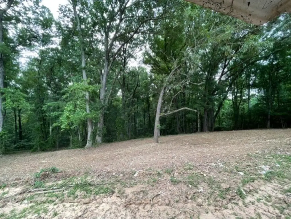 Picture 15