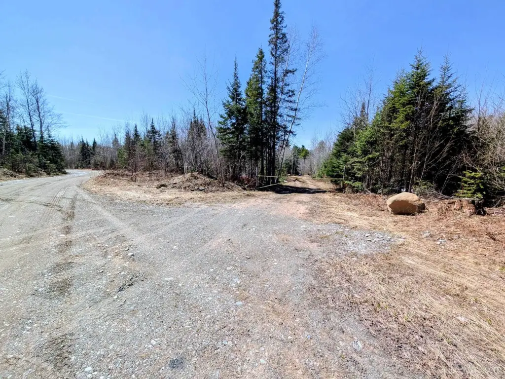 Picture 20