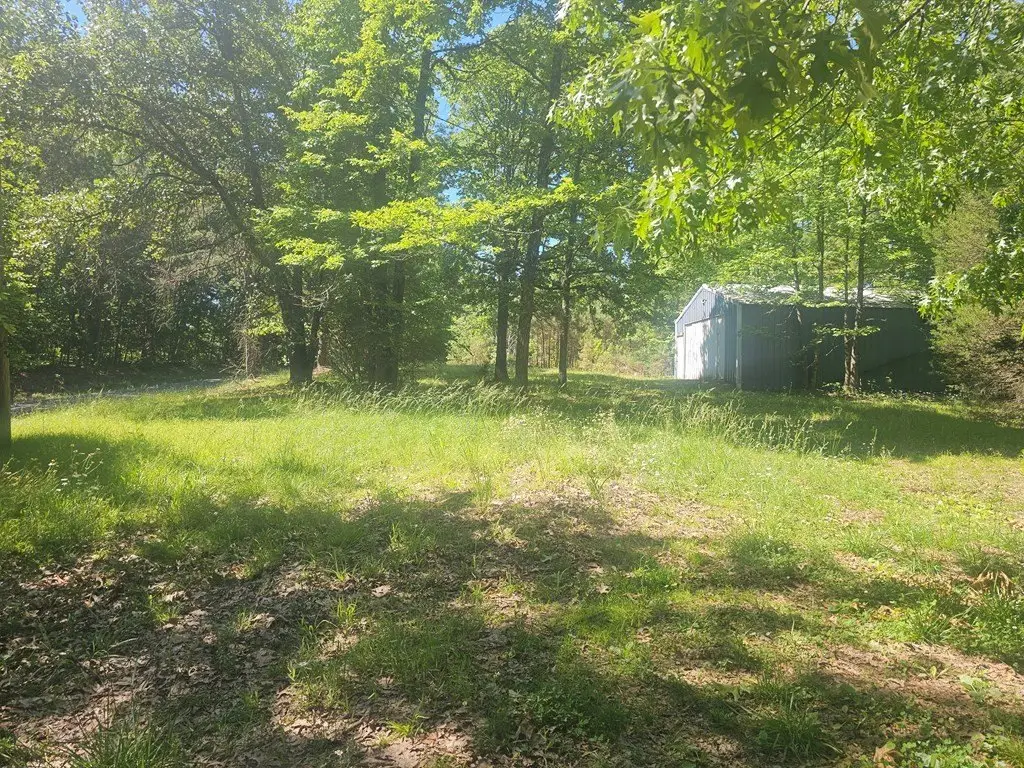 Picture 5