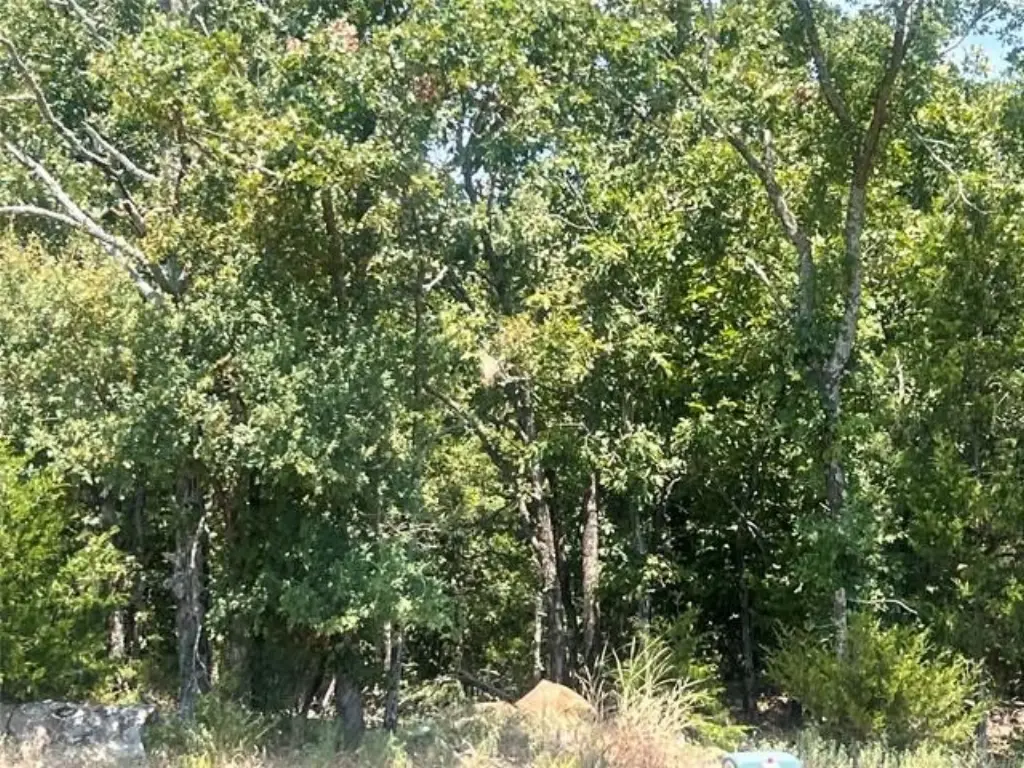 Picture 11